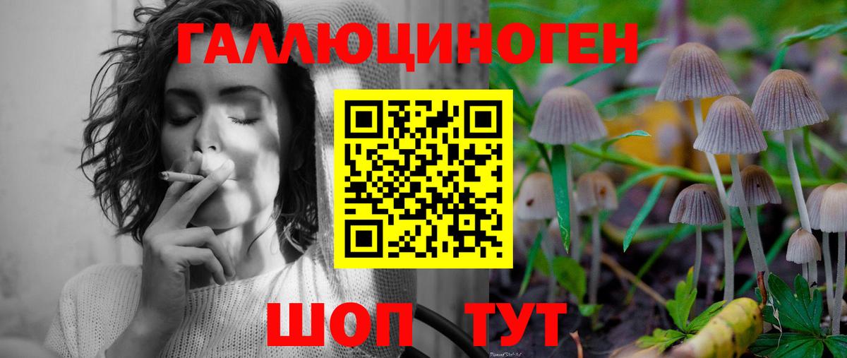 Пенза  Галлюциногенные грибы MAGIC MUSHROOMS  Вход с VPN  Псилоцибиновые грибы прущие грибы 